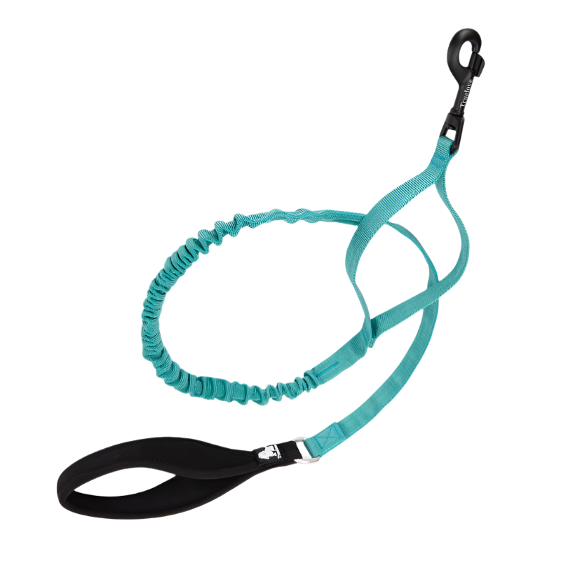 Flexible Cushioning Leash