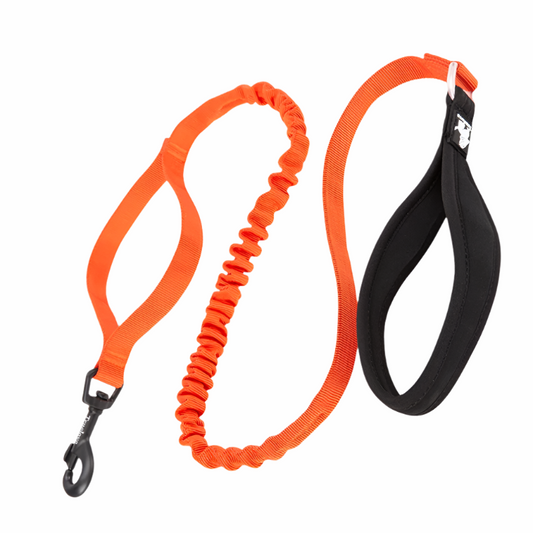 Flexible Cushioning Leash