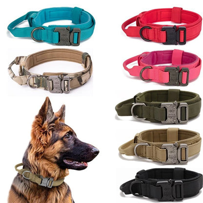 Tactical Training Durable Collar