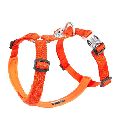 Premium Trail Runner Harness