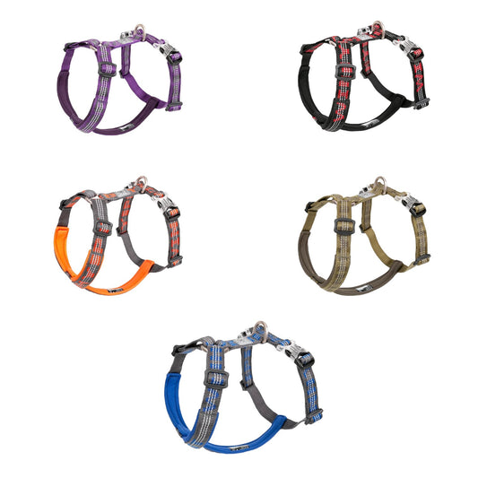 Premium Trail Runner Harness