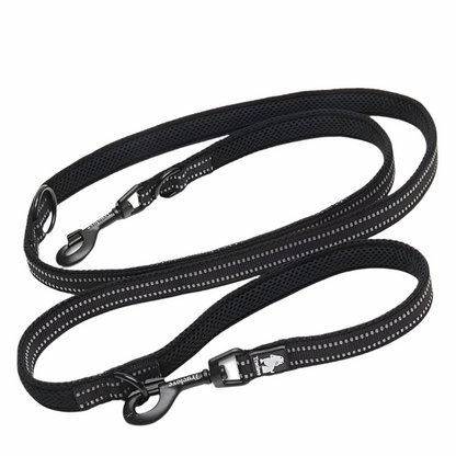 Multi-Function Leash