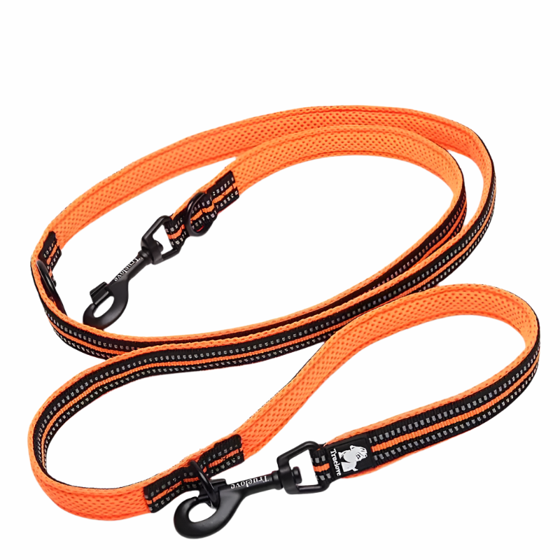 Multi-Function Leash