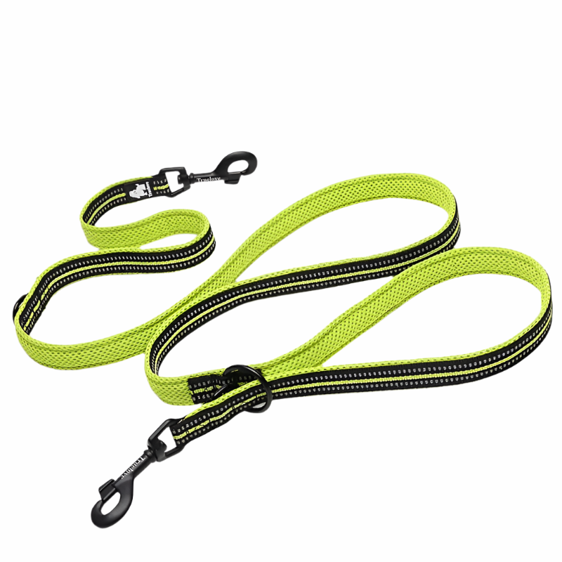 Multi-Function Leash